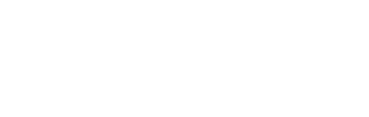 Initiative